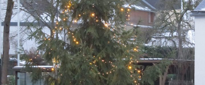 Neue Lichterkette für Weihnachtsbaum am Marktplatz