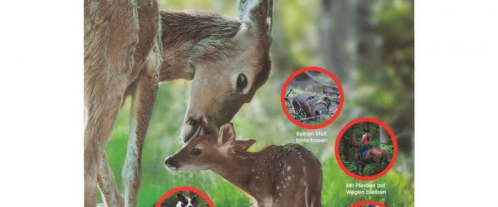 Rücksicht auf Wild & Unbefugtes Befahren von Land- und Forstwirtschaftlichen Wegen