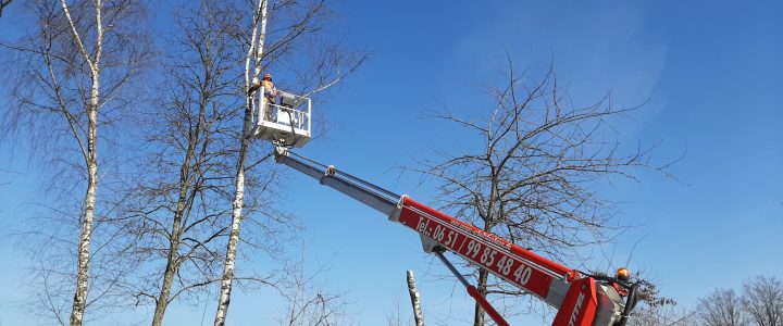 Fortbildung & Arbeitssicherheit der Gemeindearbeiter