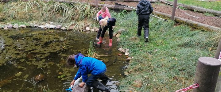 Grundschule Osburg auf dem Qualifizierungsweg zur Naturpark-Schule Grundschule Osburg auf dem Qualifizierungsweg zur Naturpark-Schule