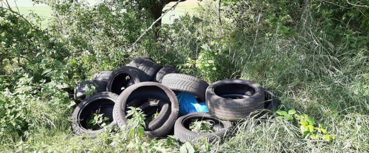 Illegale Abfallentsorgung auf der Gemarkung Osburg