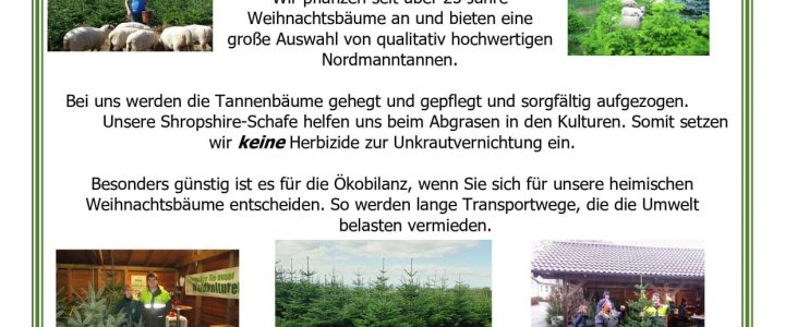 Vorankündigung – Weihnachtsbaumverkauf (11., 17. und 18.12.21)