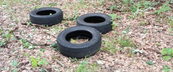 Widerrechtliche Ablagerung von Reifen im Osburger Wald
