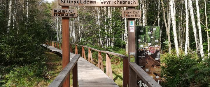 Offizielle Eröffnung des neu sanierten Knüppeldamms